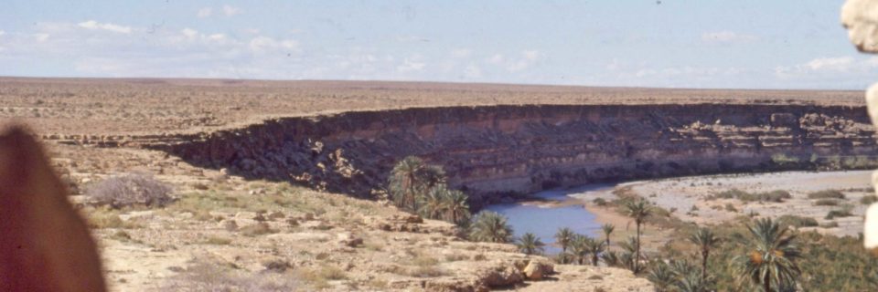 Desert Oasis in Morocco